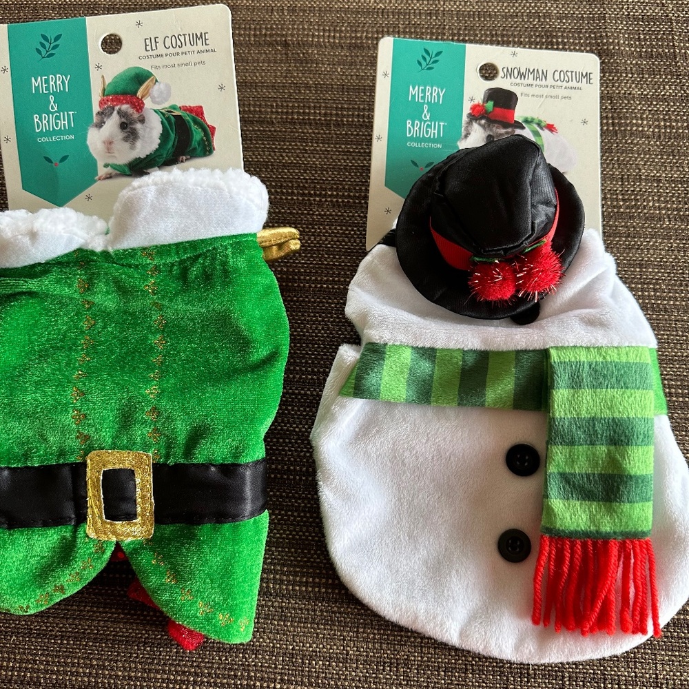 New Guinea Pig Holiday Costumes - set of 2